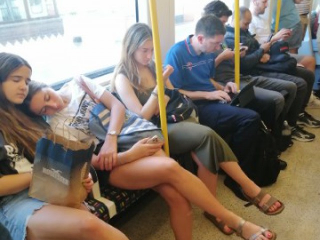 IMG_20220708_092344 (Small)